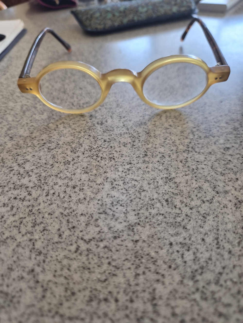François Pinton Paris Silver Passeport 2 Eyeglasses Matte Honey Tortoise 40 24